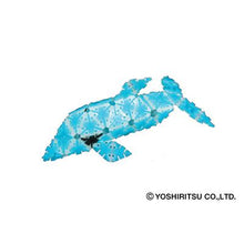 Load image into Gallery viewer, Kocalini Dolphin (Japanese)